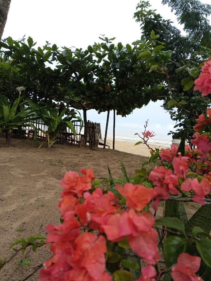 Akoya Beach Park And Cottages Locaroc Kültér fotó